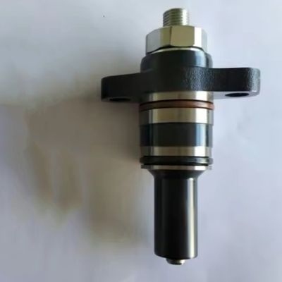 Fuel Injection Pump Diesel Engine Plunger 2469403622 F019 D03 313 Cp2.2
